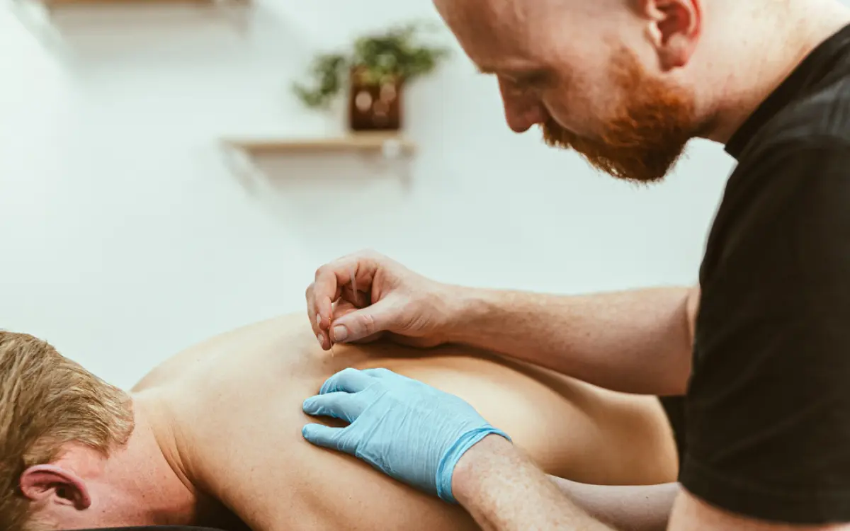 Over fysio praktijk TREE11 header